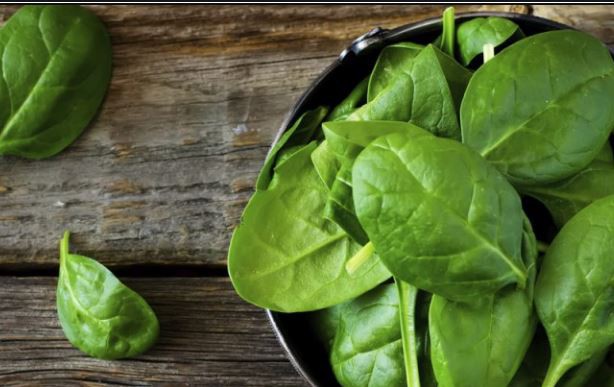 Spinach Extract Powder Benefits.png