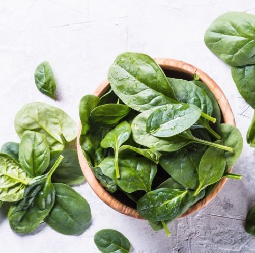 spinach extract gnc-1.png