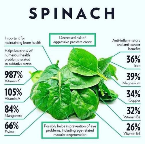 spinach extract gnc benefits.png