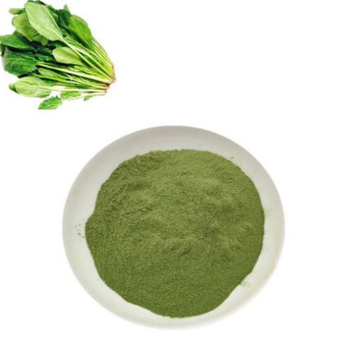 Spinach Extract for Weight Loss-1.png