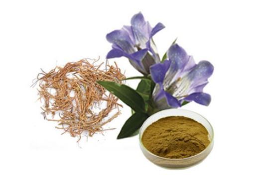 Gentian Powder-1