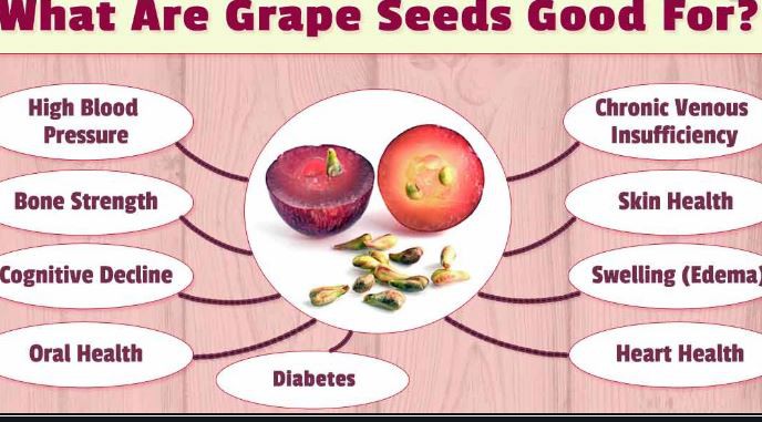 Organic Grape Seed Extract Powder Benefits