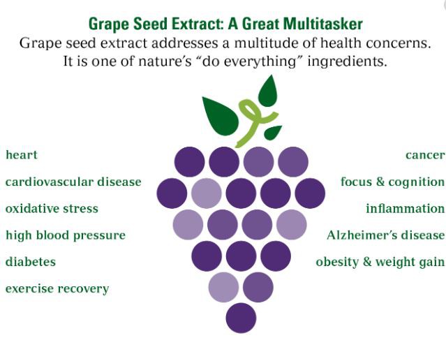 Grape Seed Powder Benefits