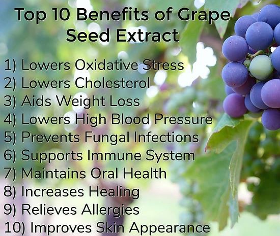 Grape Seed Extract Powder Bulk Benefits