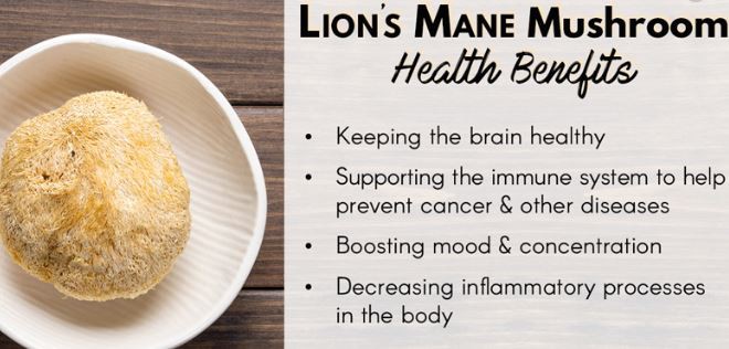 Lion's Mane Powder Benefits