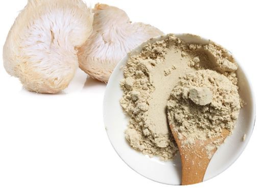 Lion's Mane Mushroom Powder Benefits