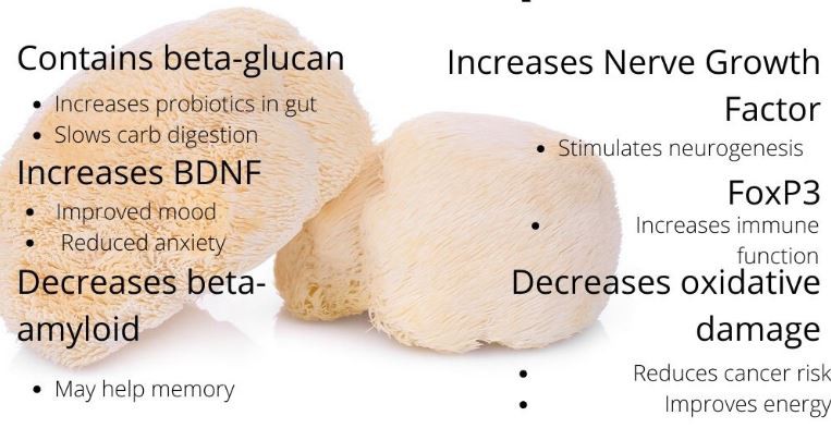 Lion's Mane Mushroom Powder Bulk Benefits