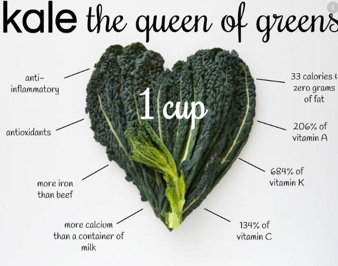 Organic Kale Powder Benefits