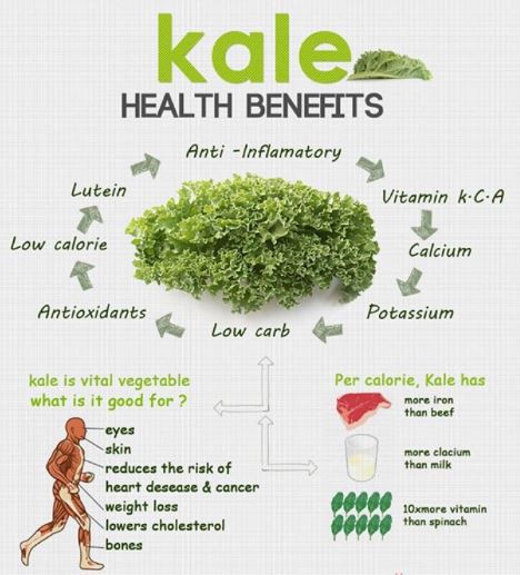 Dried Kale Powder Benefits