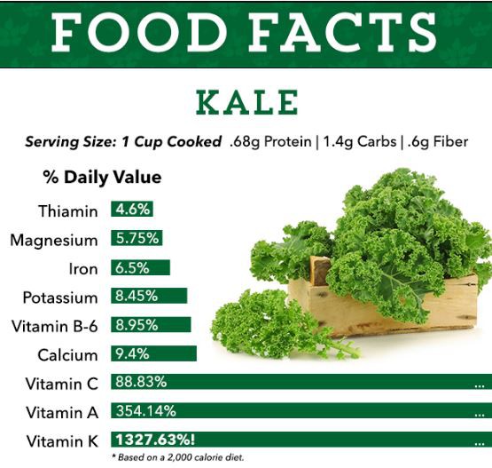 Bulk Kale Powder Benefits