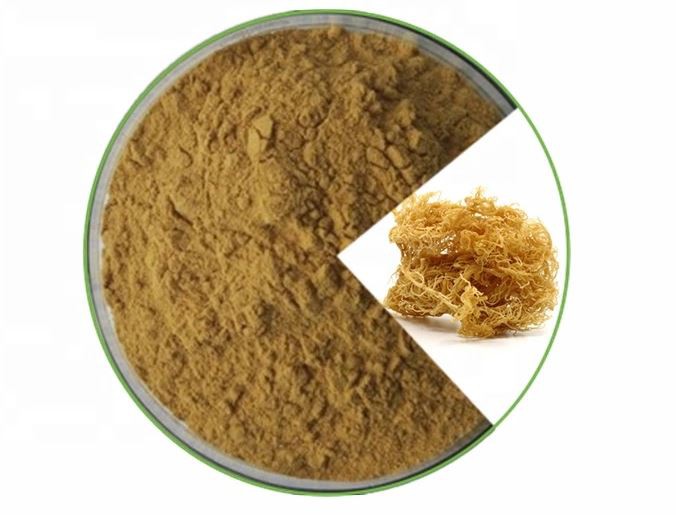 Irish Sea Moss Powder-1