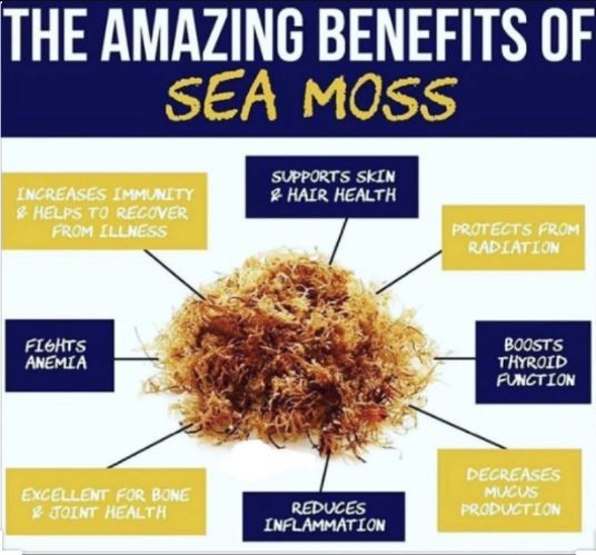 Sea Moss Powder Benefits