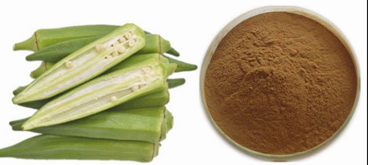 Dried Okra Powder-1