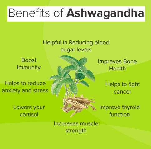 Ashwagandha Powder Benefits