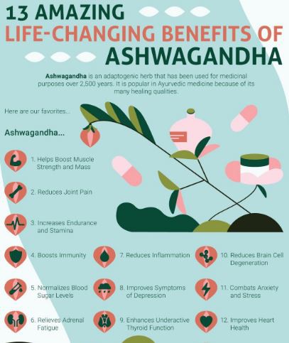 Organic Ashwagandha Powder Benefits