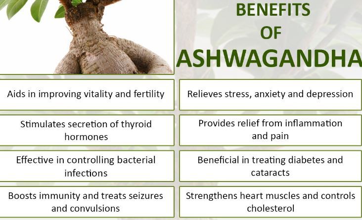 Ashwagandha Root Powder Organic Benefits