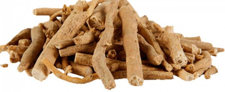 Ashwagandha Root Extract-1