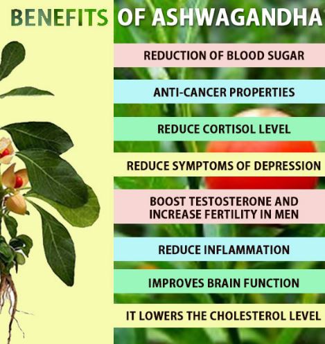 Ashwagandha Root Extract Benefits