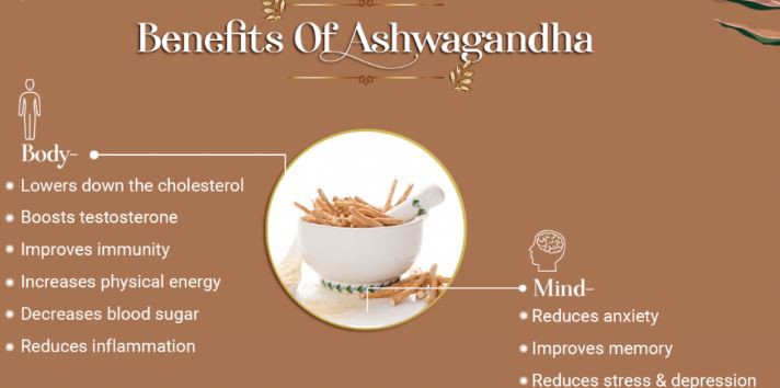 Ashwagandha Extract Powder Benefits