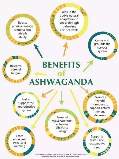 Ashwagandha Organic Powder Benefits