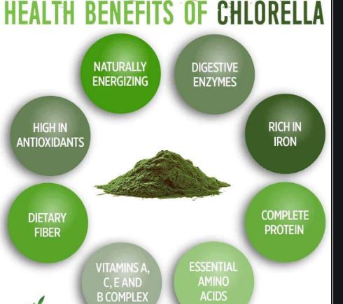 Organic Chlorella Powder Benefits