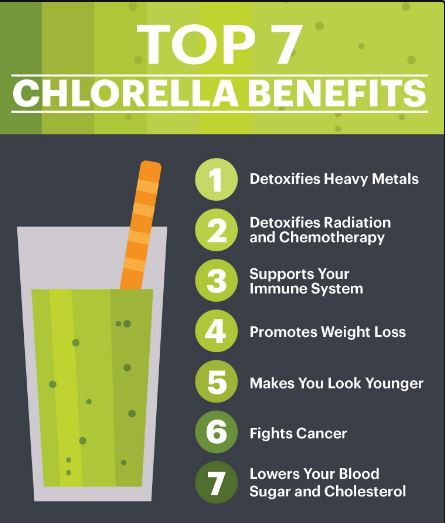 Chlorella Powder benefits