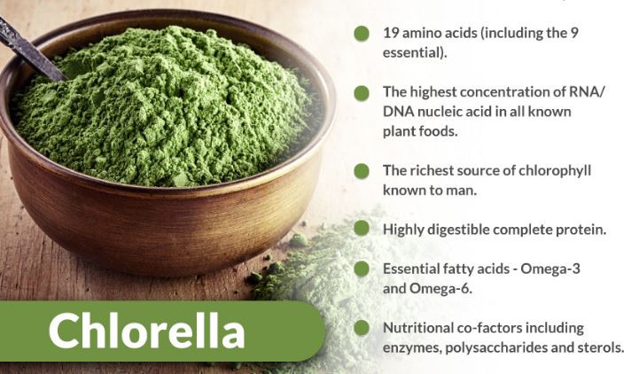 Best Chlorella Powder Benefits