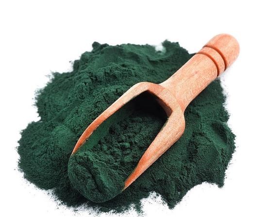 Bulk Chlorella Powder-1