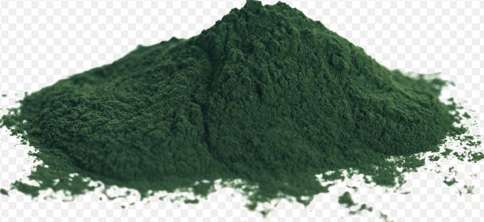 Chlorella Powder Bulk-1