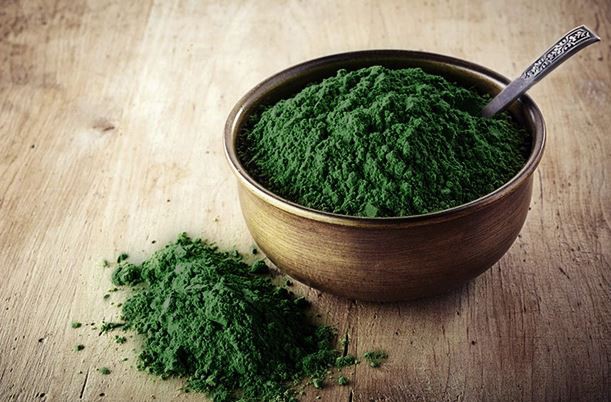 Chlorella Vulgaris Powder-1