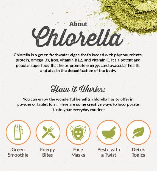 Chlorella Vulgaris Powder Benefits