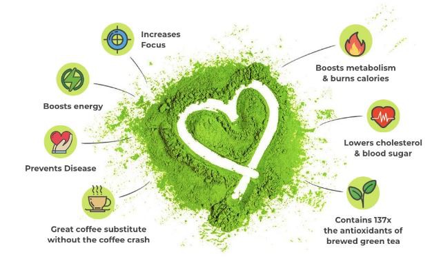 Bulk Matcha Powder Benefits