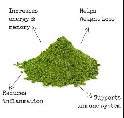 Best Matcha Powder Benefits