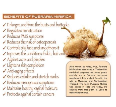 Pueraria Mirifica Powder Benefits