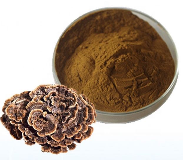 Turkey Tail Powder