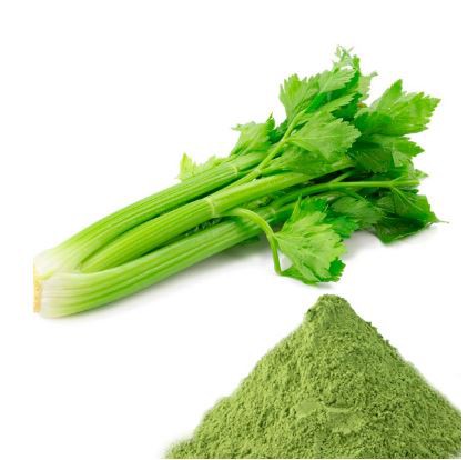 Celery Juice Powder-1