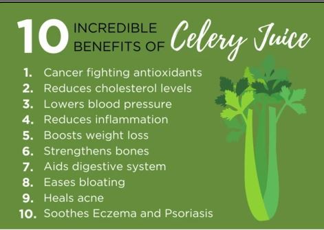 Celery Juice Powder Benefits