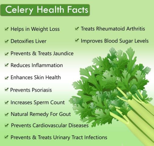 Organic Celery Powder Benefits