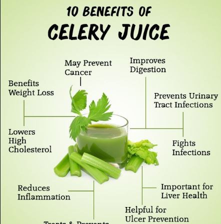 Cultured Celery Powder Benefits