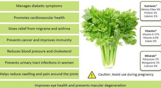 Organic Celery Juice Powder Benefits