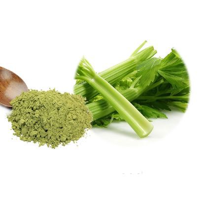 Freeze Dried Celery Powder