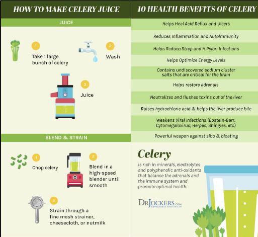 Dried Celery Powder Benefits