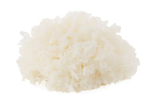 organic Tremella Powder