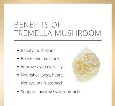 Tremella Mushroom Powder Benefits