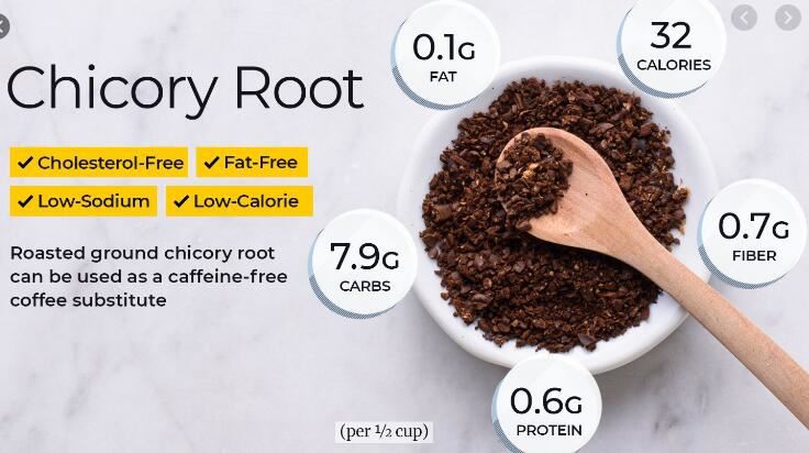 Chicory Root Powder Benefits