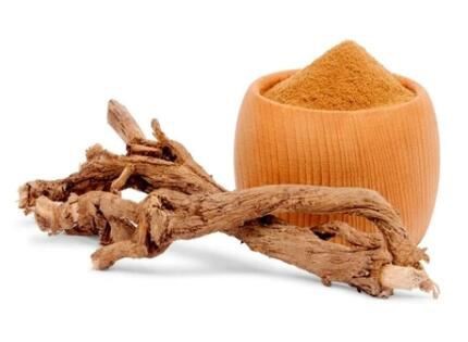 inulin chicory root extract