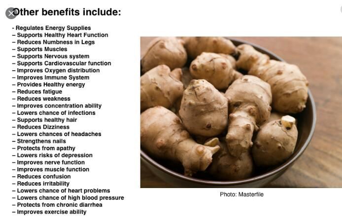 Jerusalem Artichoke Extract Benefits