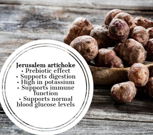 jerusalem artichoke powder benefits