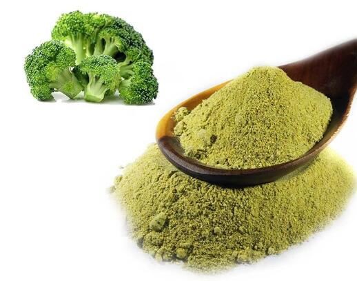 broccoli sprout extract powder