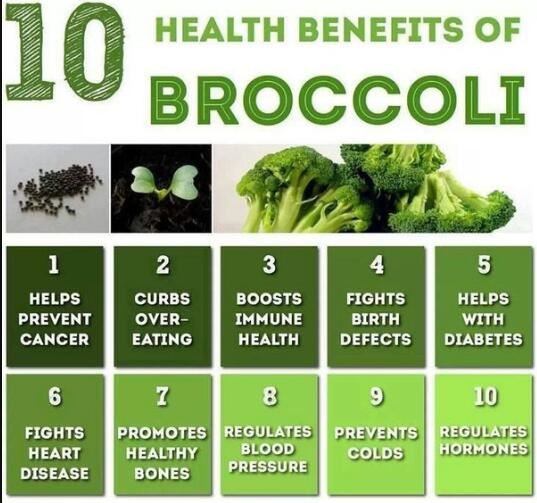 broccoli extract powder benefits